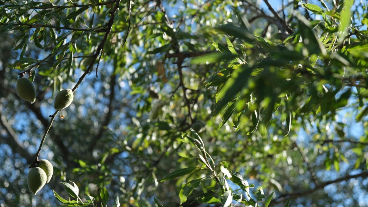 Il Rifugio Nel Verde Monopoli Exterior foto